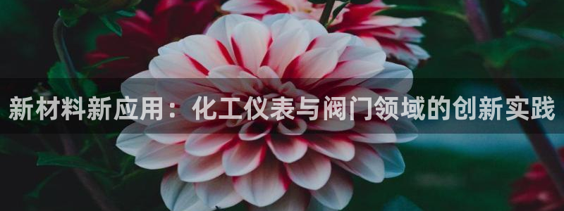 九游会91