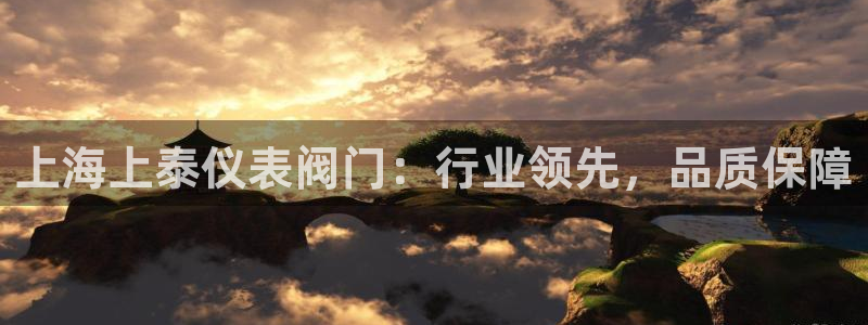 九游会棋牌牌