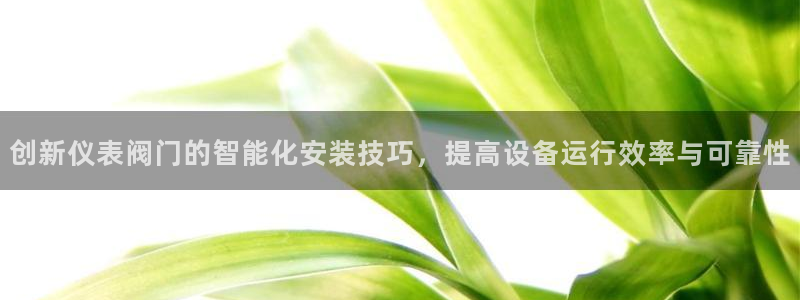 家乡的九曲黄河灯游会