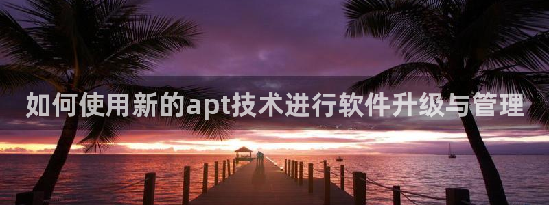 网赌九游会